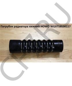 WG9719530227 Патрубок радиатора нижний  HOWO в городе Омск